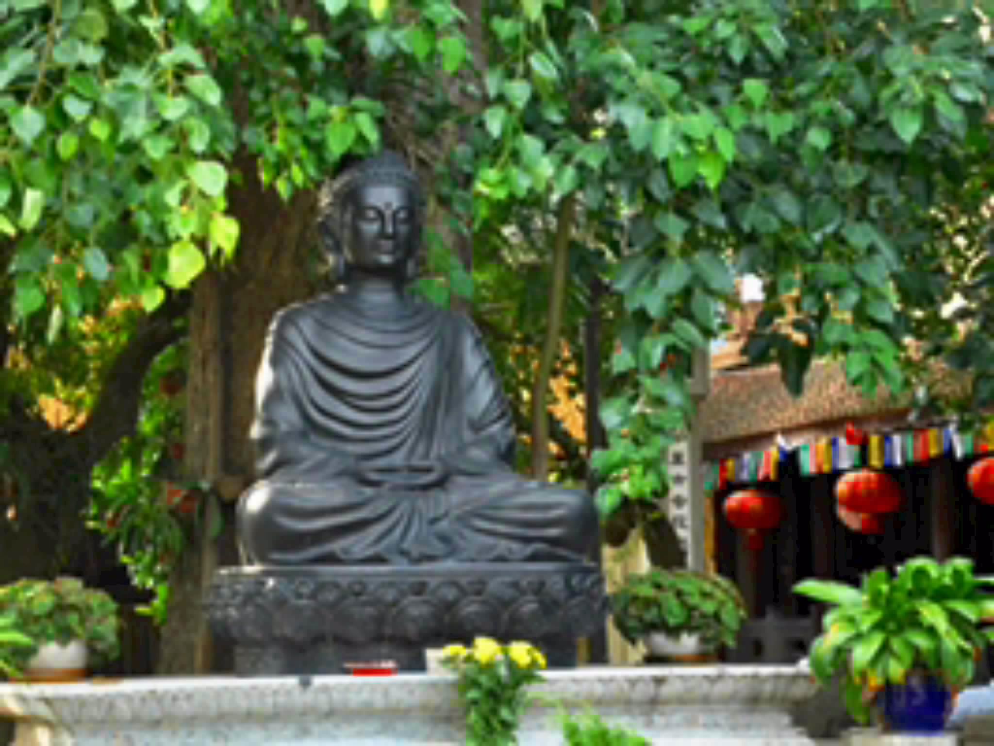 hình ảnh